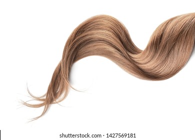 Brown hair isolated on white background. Long wavy ponytail - Shutterstock ID 1427569181