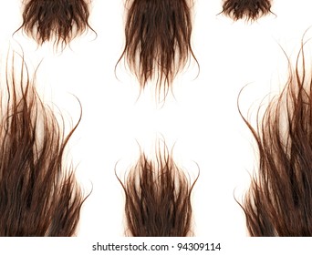 Brown Hair Isolated On The White Background