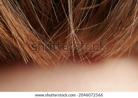 Similar – Image, Stock Photo myLOVE Bangs Haircut