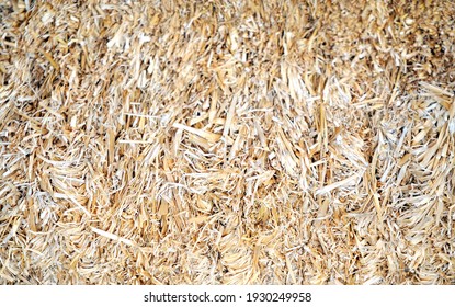 Brown haystack displayed on the ground indoors.