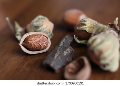 brown hazelnut on the table