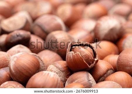 Brown Hazelnuts abstract blur background