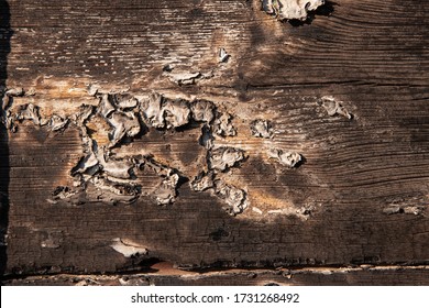 Brown Horizontal Burned Wood Pattern For Design With Copy Space For Text. Close Up Background. Grunge Texture Top View.