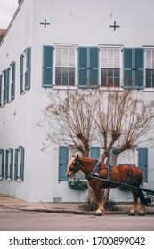 Brown Horse With Gold Mane Pulling Carriage In Front Of Blue House And Tree In Charleston South Carolina