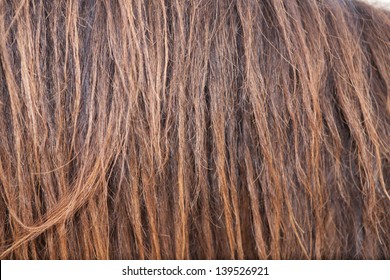 Brown Horse Hair