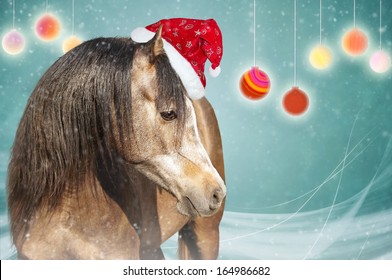 horse christmas hat