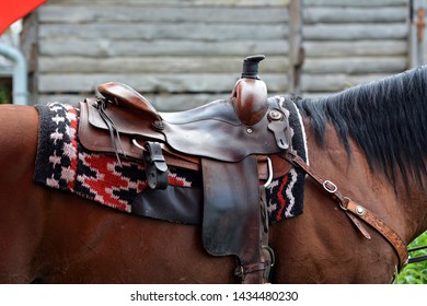Brown, horse-drawn, beautiful, riding saddle.