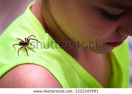 brown house spider, over the shoulders of a child, childish danger. residential detection required.