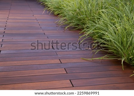 Brown Ipe hardwood deck and green Carex 'Ice Dance' Japanese Sedge evergreen ornamental grass 