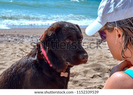 Brown Labrador retriever dog in pink collar is sitting on the summer beach and closely looking at its owner. Dog looking into woman eyes. Blue sea ocean background.