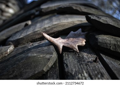 Brown Leaft Rest In A Trunk