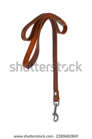 Brown leather dog leash isolated on white