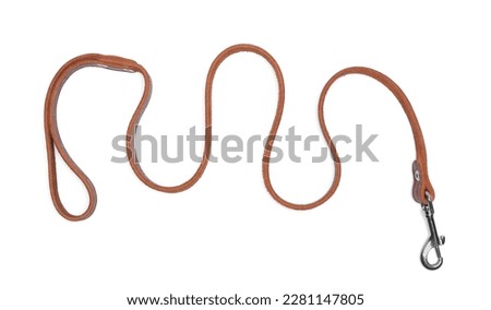 Brown leather dog leash isolated on white, top view