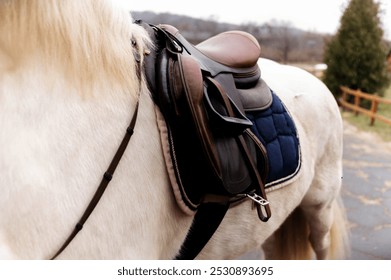 Brown leather saddle and blue quilted blanket of back of white stallion. Caring for Arabian horses in riding school. Leather products. Grooming for horses. Veterinary care of domestic animals. - Powered by Shutterstock