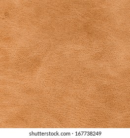 Brown  Leather Texture 