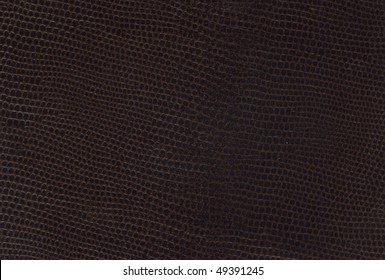 26,910 Lizard Leather Images, Stock Photos & Vectors | Shutterstock