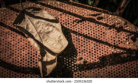 Brown Leave On Rusty Old Metal Chair