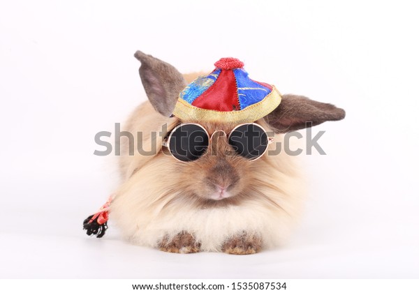 白い背景にかわいい若いバニー 茶色の小さなウサギ 中国の新年のうさぎ年祝い用の中国の帽子 の写真素材 今すぐ編集