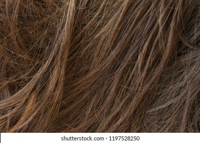 Brown Long Hair Texture Background