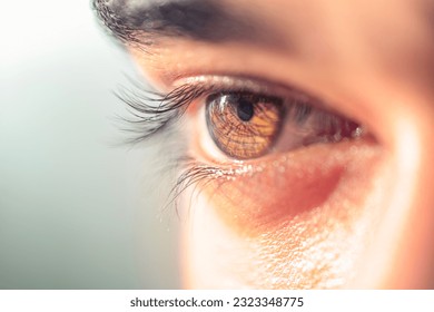 Imagen macro del ojo de un hombre marrón. Imagen de macro en los ojos de un hombre. vista de cerca del ojo de un hombre asiático adulto con pestañas y cejas mirando delante confiadamente.
