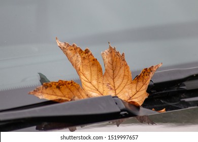 Brown Maple Leaf On The Front Shield Of A Car With A Windshield Wiper Shows The Preparation Of Car Drivers For Autumn, Fall And Winter Season And To Check Their Car And Car Maintenance