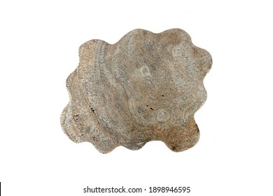 Brown Marble Rock Slab Isolated On White Background With Clipping Path. Agate Rock Slab.