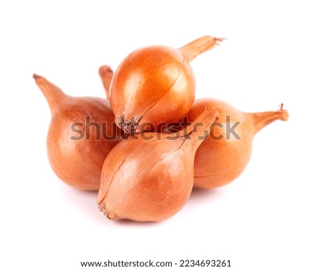 Brown mini onions isolated on a white background. Raw onion bulbs, for cultivation. French onion