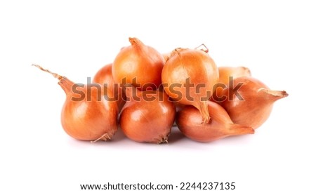 Brown mini onions isolated on a white background. Raw onion bulbs, for cultivation. French onion.