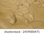 Brown mud from river flow. Abstract shapes and patterns of river mud