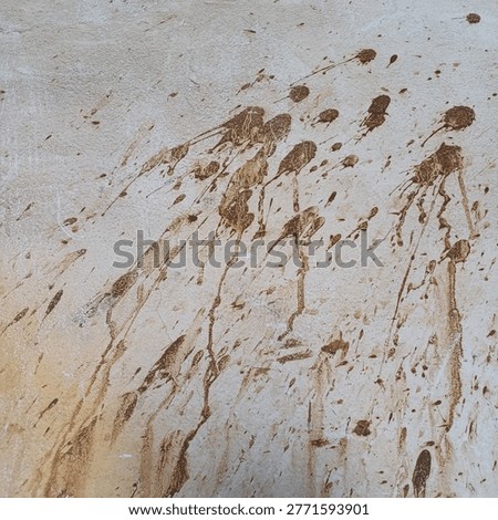 Brown mud splashes on a white textured wall