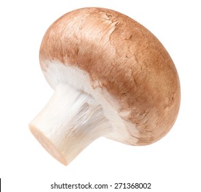 Brown Mushroom Isolated