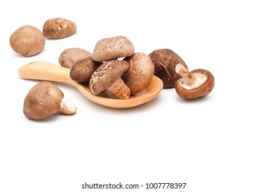 Brown mushrooms put on wood plate and isolated on white background with copy space