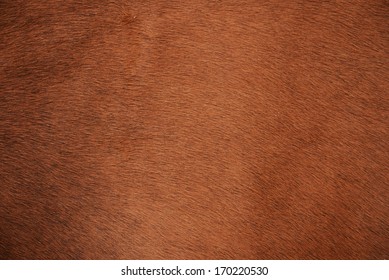 Brown Natural Cow Fur Texture