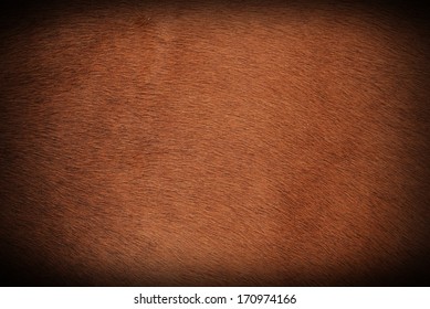 Brown Natural Cow Fur Texture