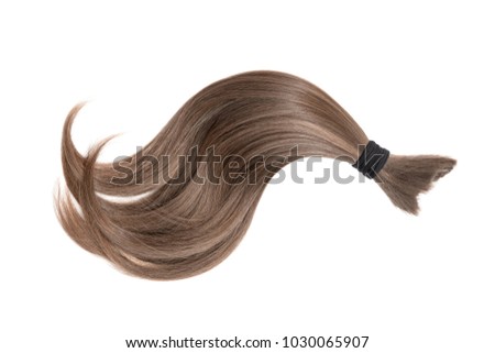 Brown natural hair isolated on white background. Ponytail