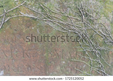 brown old stone with acient writing and green moss with branches