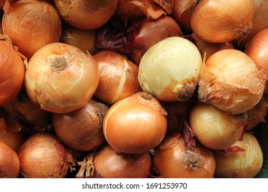 Brown onions are suitable for cooking.

