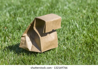 Brown Paper Bag In Grass