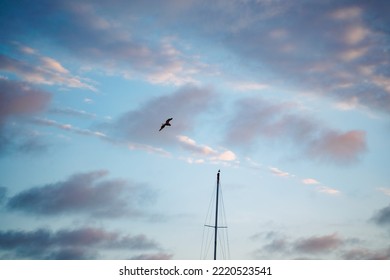 Brown Pelican And Boat Mast In Blue And Purple Clouds Sunset Sky