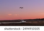 Brown Pelican Flying Over a Fishing Boat in Murrells Inlet South Carolina at Sunset