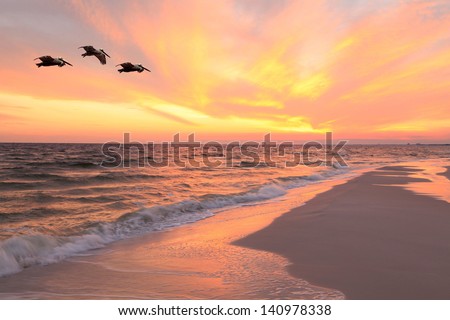 Brown Pelicans Flying in Formation at Sunset on Florida Beach