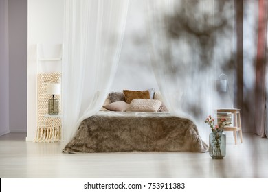 Fur Brown Bedding Glass Lamp Minimalist Stockfoto Jetzt