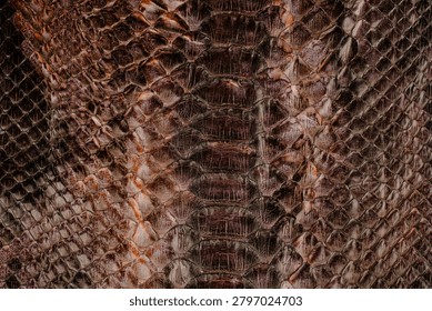 Brown python leather texture close up with reptile scale pattern and glossy exotic surface