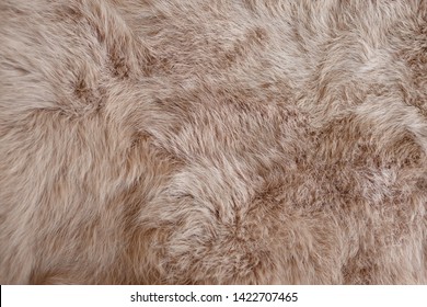 Brown Rabbit Fur Texture, Animal Skin Background