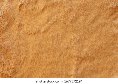 Brown real wool with a dark top texture background, orange natural wool,  fluffy fur texture for designers, close-up  wool rug
