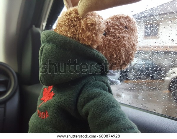 Brown\
reindeer doll with window of car on a rainy\
day.