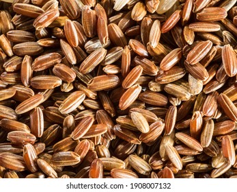 Brown Rice - Whole Grain Rice With Outer Hull Or Husk. Close-up.