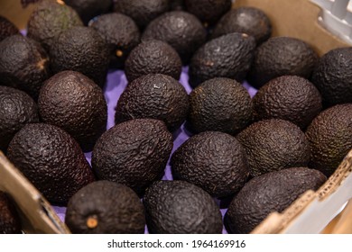 Brown Ripe Avocados In Basket For Sale At Fruit Stall In The Market