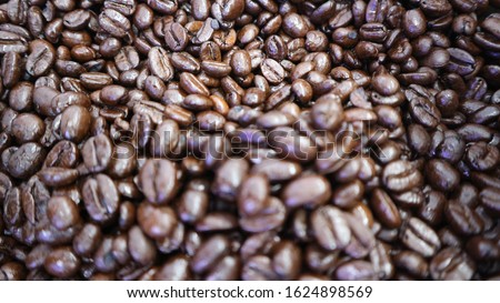 Brown roasted Coffe beans are shining