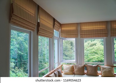 brown roman blind shade curtain tree forest mountain background living room